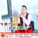 循环播放