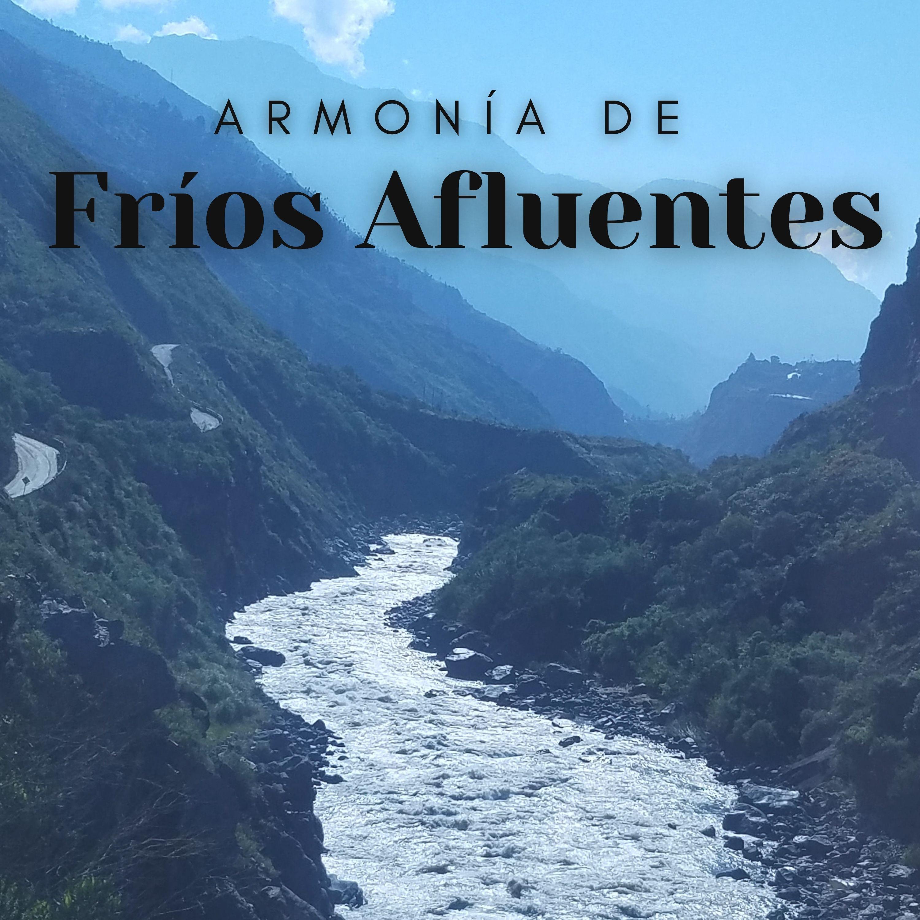 Curso Plácido_Paisaje sonoro de agua goteando_Armonía De Fríos Afluentes | 在线播放_Curso Plácido歌词_Curso Plácido下载 | 网易云音乐