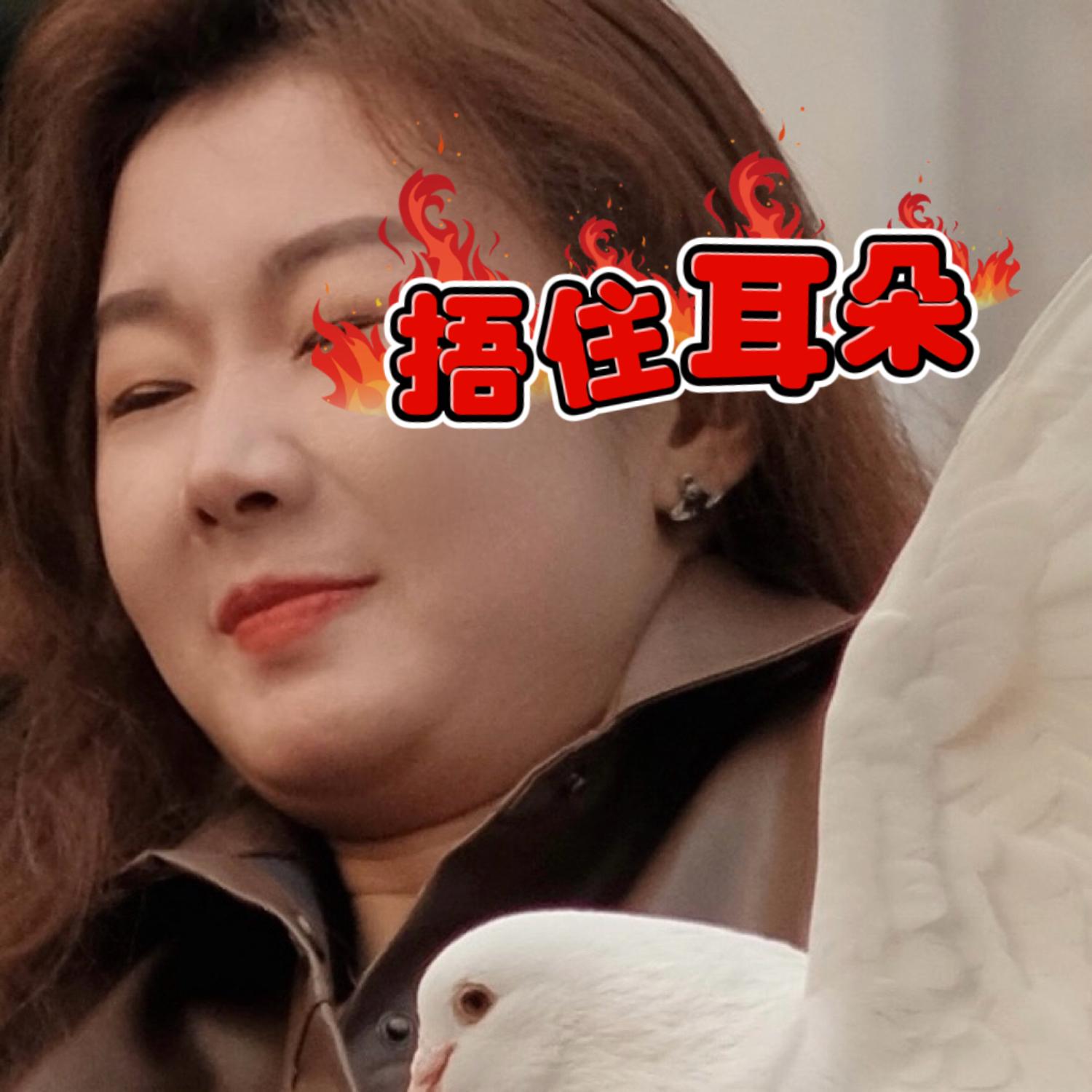 捂住耳朵 (Remix)封面