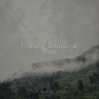 Natural Sounds of Rain