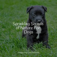 Sprinkling Sounds of Nature For Dogs