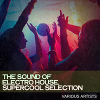 The Sound of Electro House, Supercool Selection