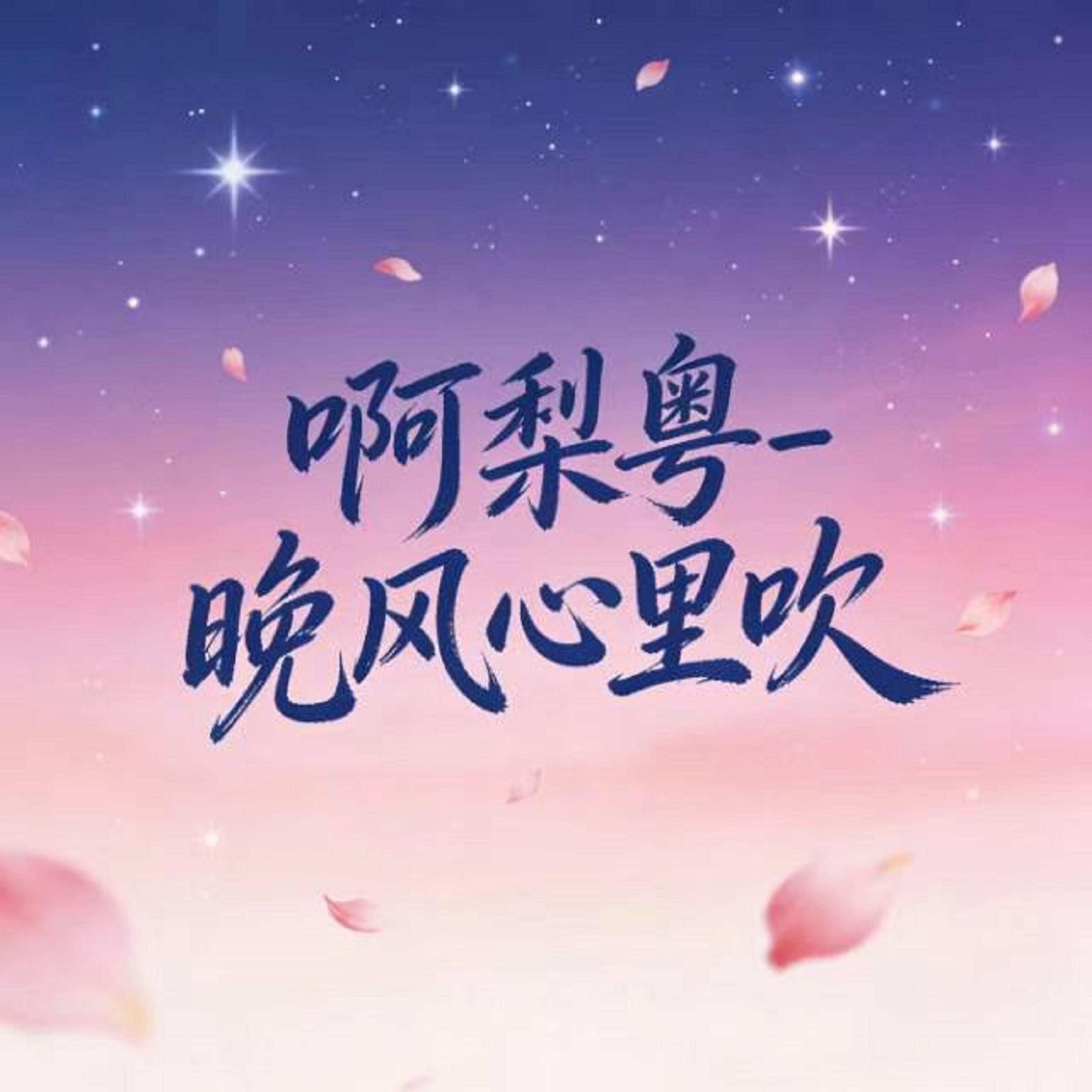 晚风心里吹 (DJ版)封面