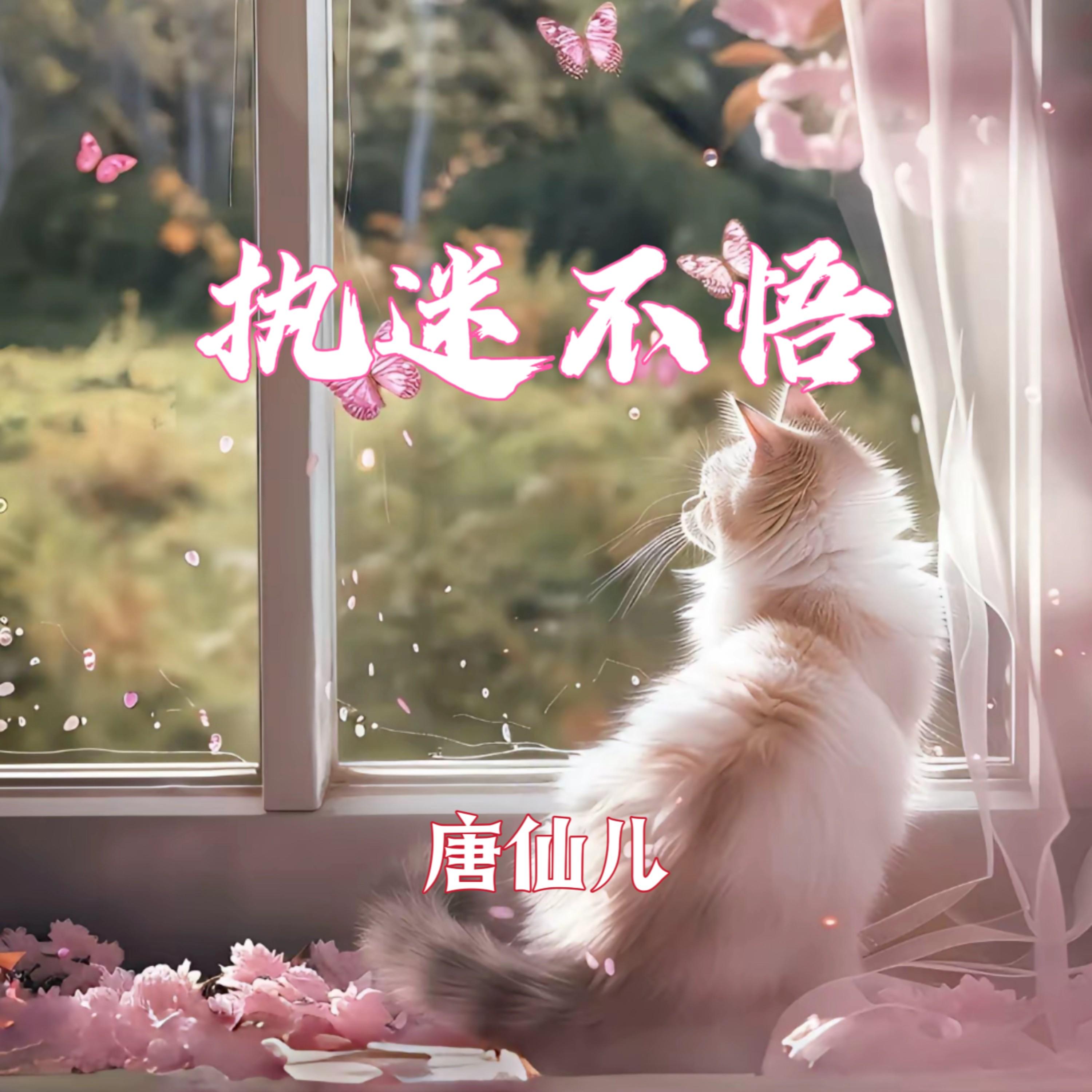执迷不悟 (伴奏)封面