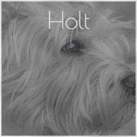 Holt