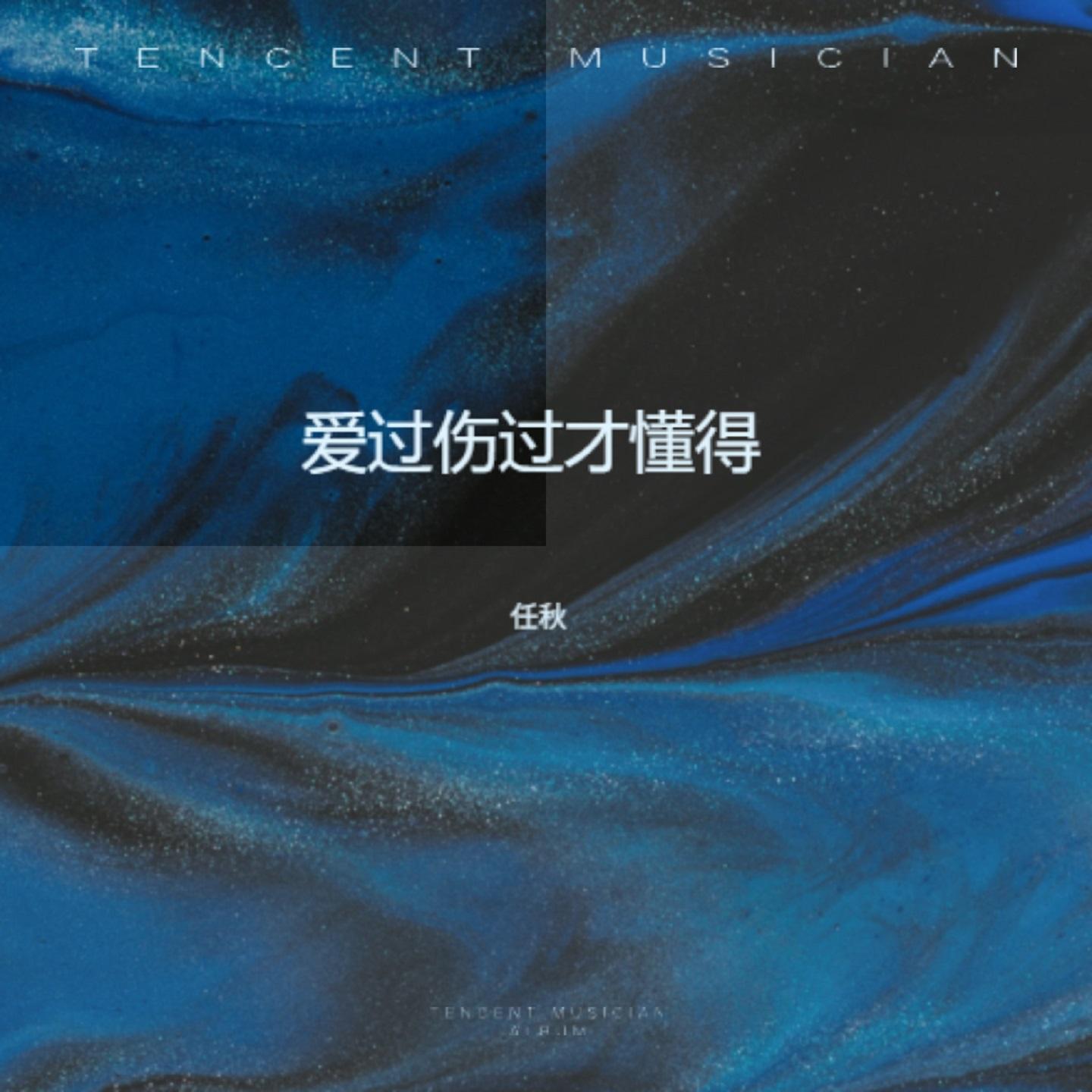 爱过伤过才懂得封面