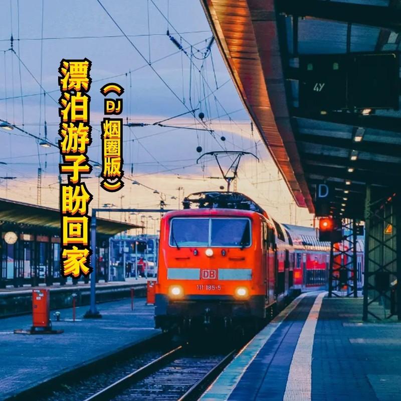 漂泊游子盼回家DJ (伴奏) - 小匠、烟圈蔓延封面