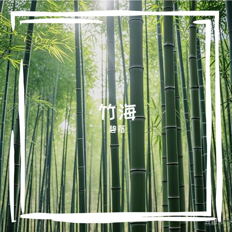 竹海封面