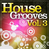 House Grooves, Vol. 3