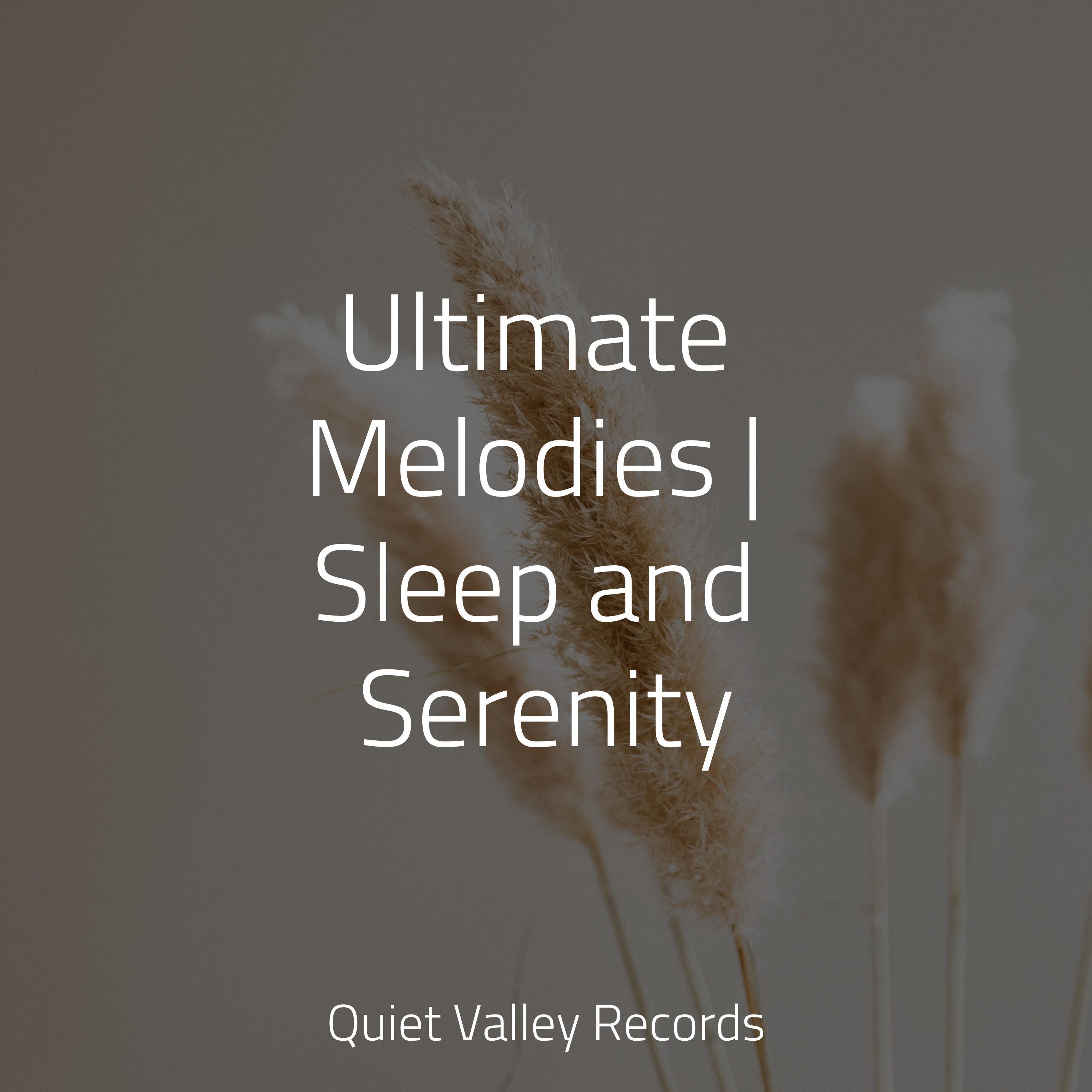 relax melodies sleep app