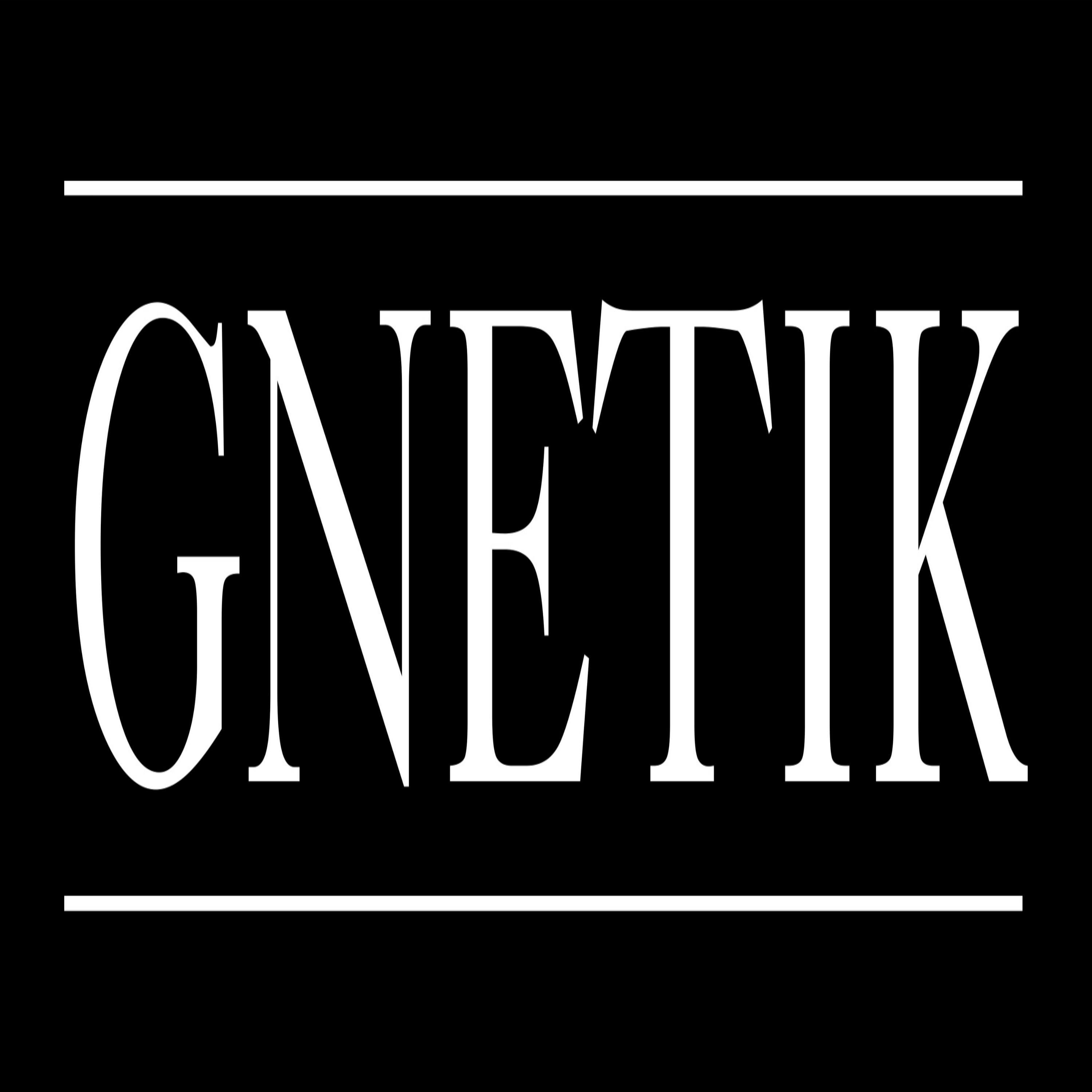 Gnetik (feat. Kudoz)