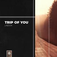 Trip Of You