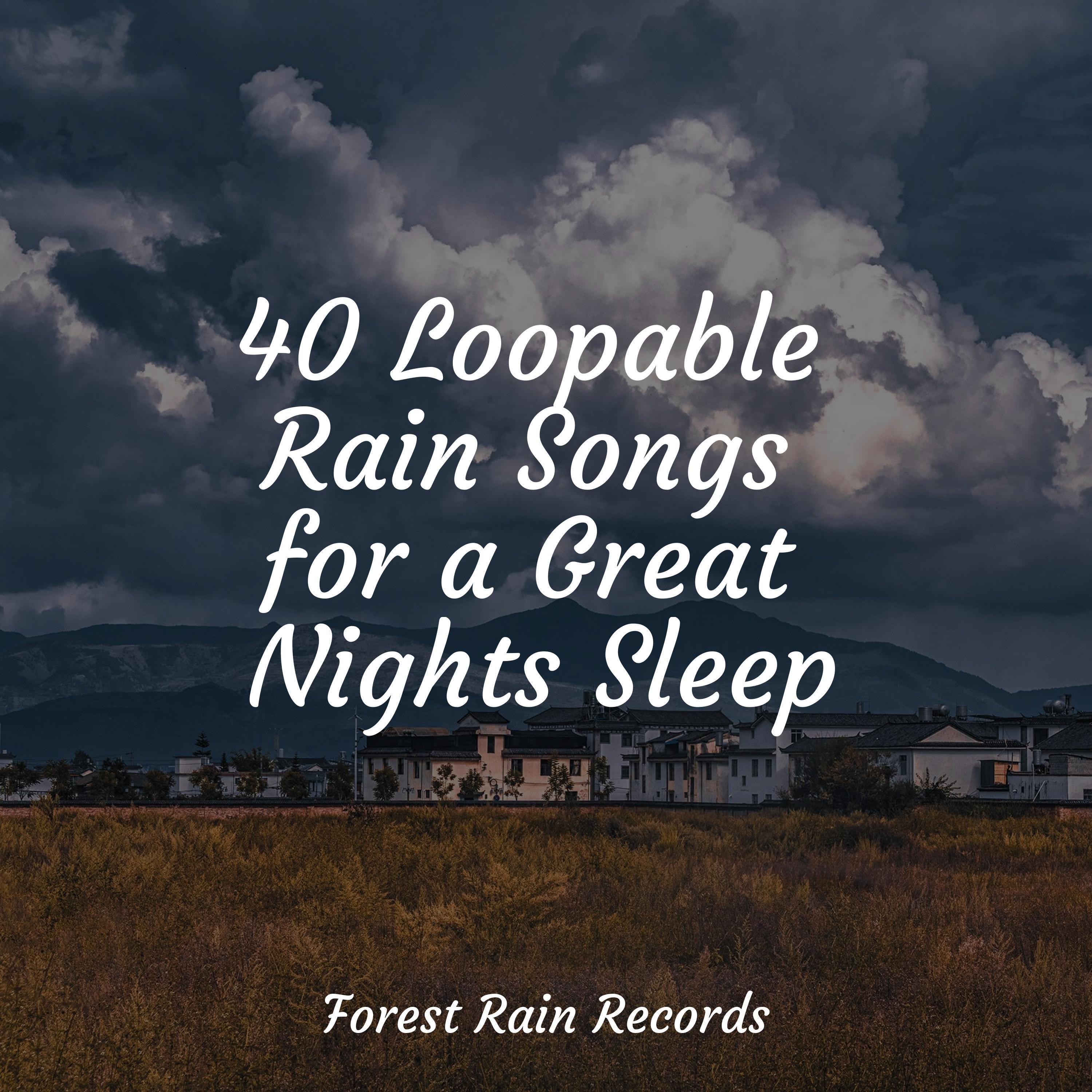 River, Medium, Stream, Creek_Rain Recorders_40 Loopable Rain Songs for a Great Nights Sleep | 在线播放_River, Medium, Stream, Creek歌词_River, Medium, Stream, Creek下载 | 网易云音乐