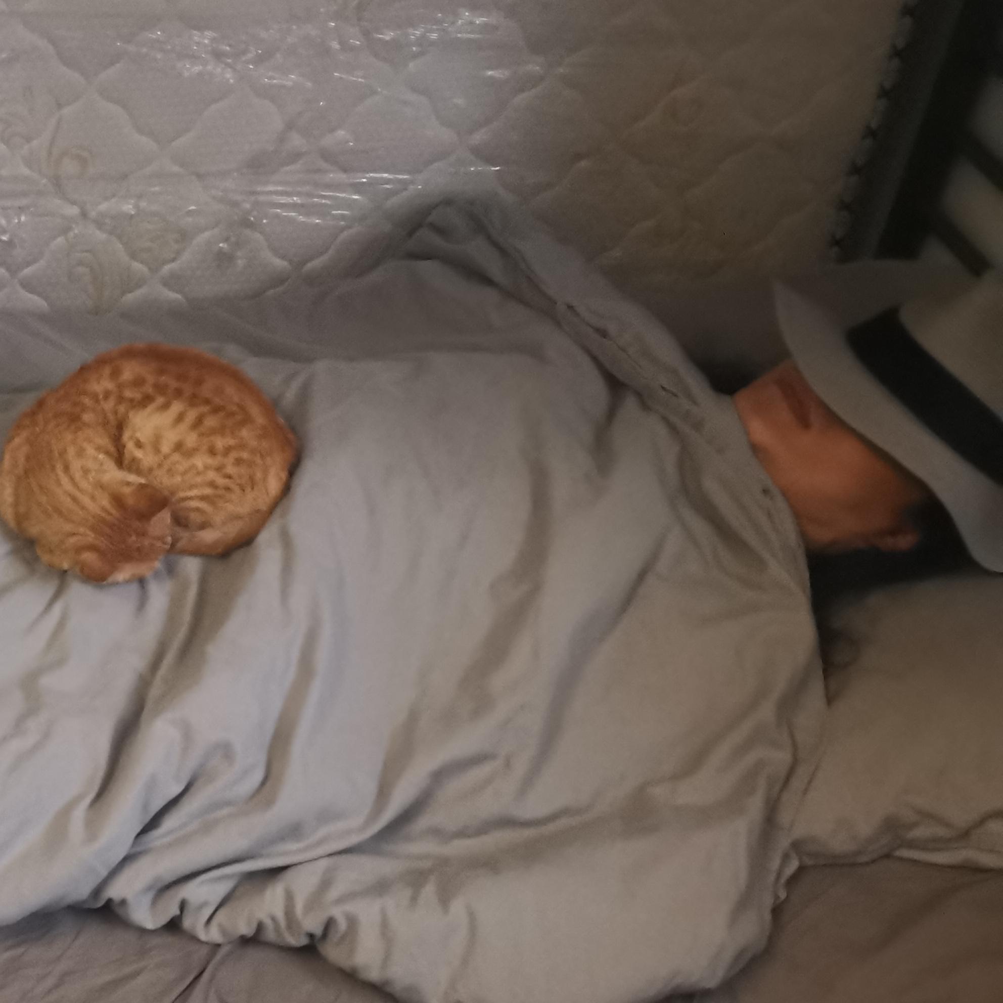 1.《懒鬼情未了》永远不可能分离 因为我们都很懒(Av91824061,P1)