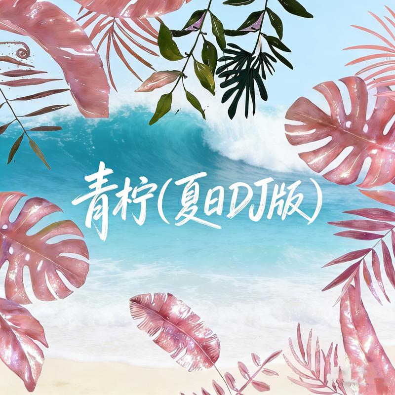 青柠 (DJ版)封面