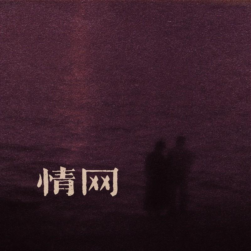 情网封面