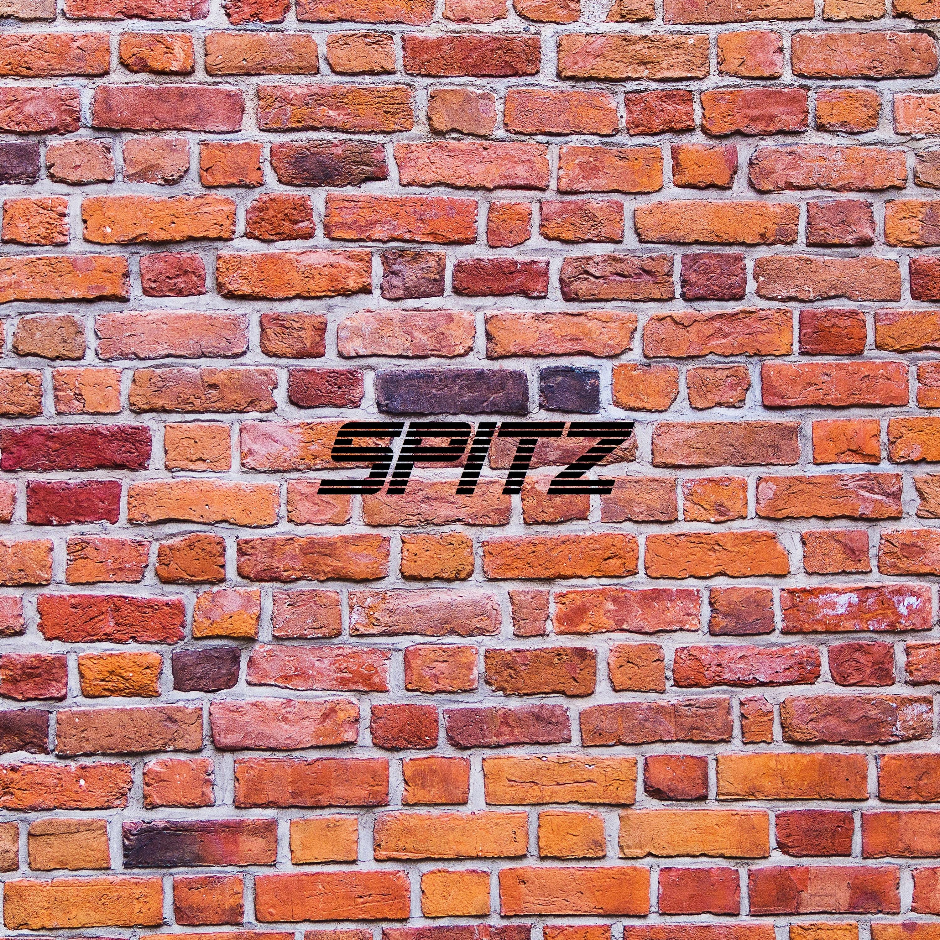 Spitz