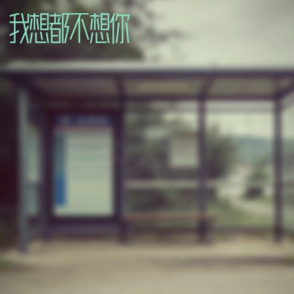 我想都不想你 伴奏封面