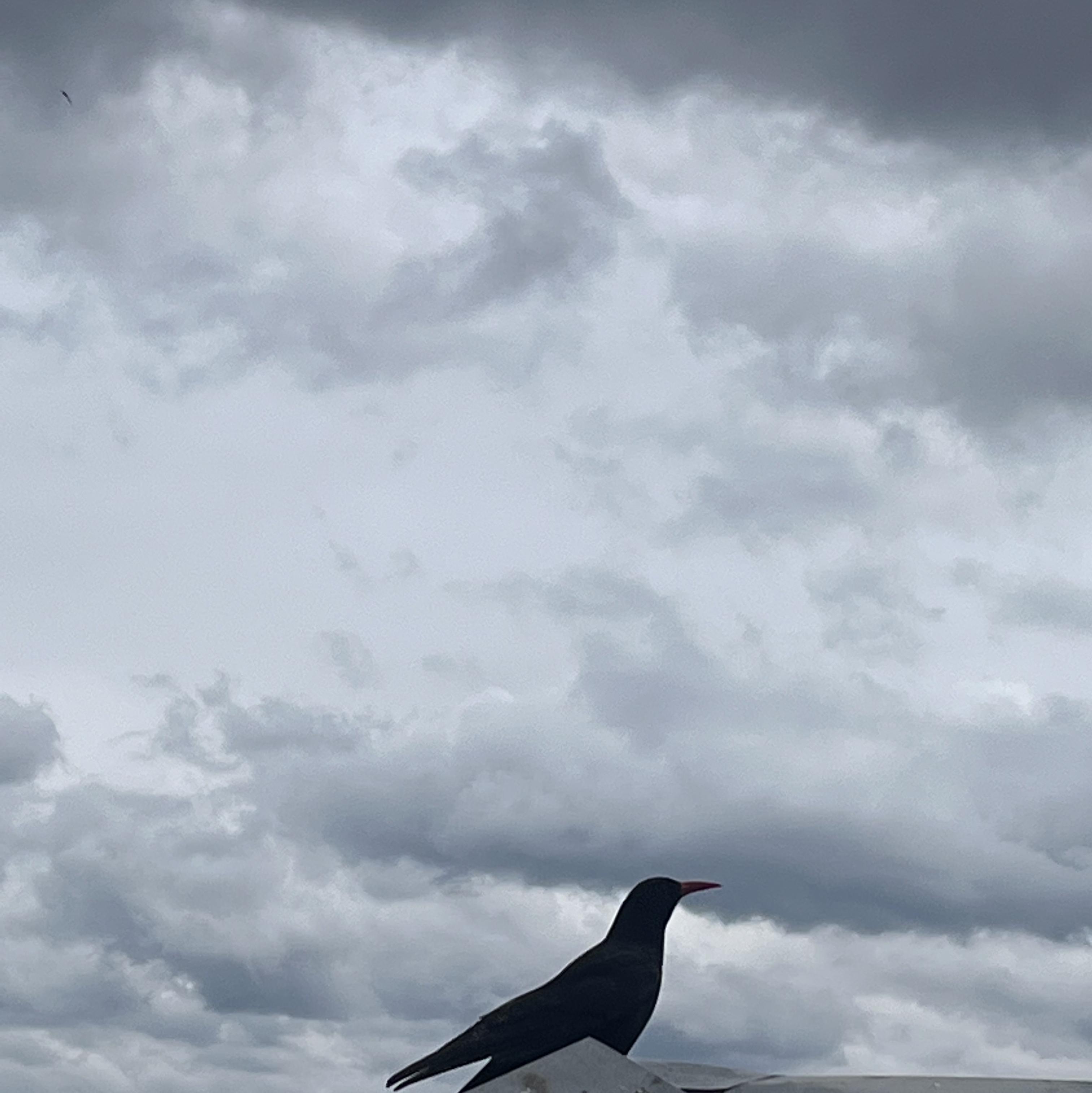 她说她都要上吊了我还以为她在荡秋千