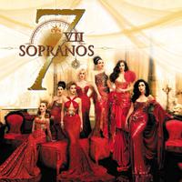 The 7 Sopranos