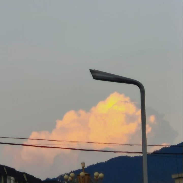老茧封面