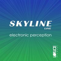 Electronic Perception