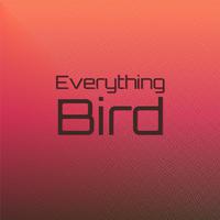 Everything Bird