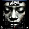 Da Professor - Why (Remix)