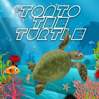 Tonto the Turtle