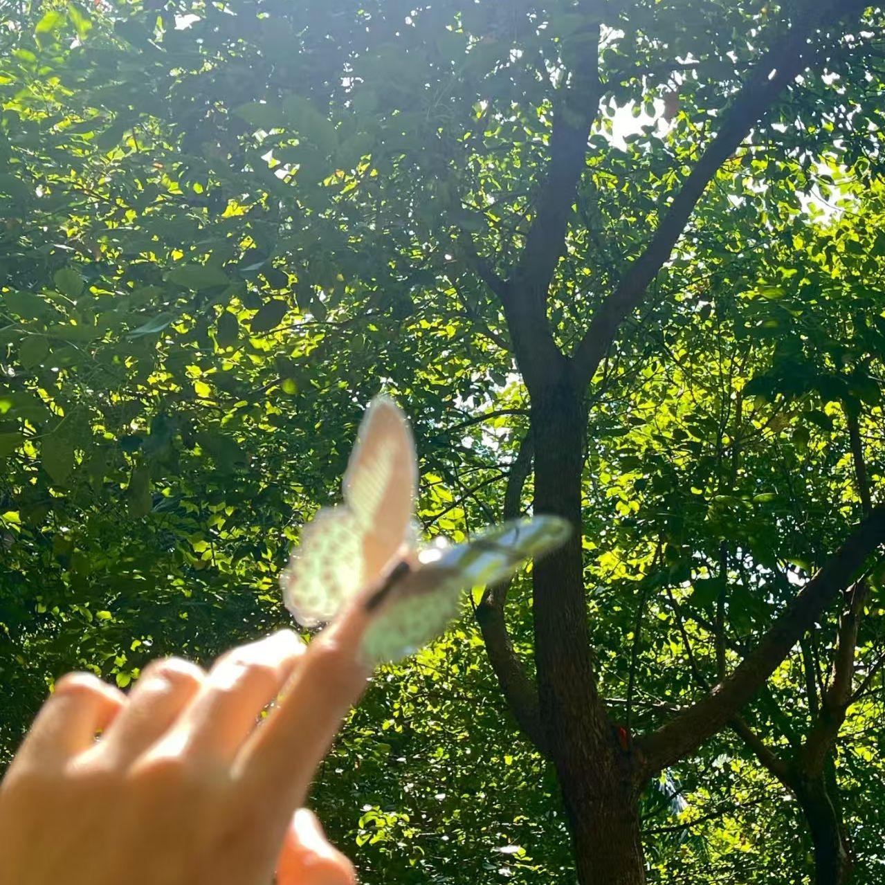 星落人间封面