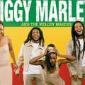 Ziggy Marley And The Melody Makers