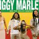 Ziggy Marley And The Melody Makers