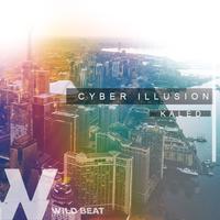 Cyber Illusion