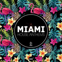 Miami House Anthems, Vol. 24