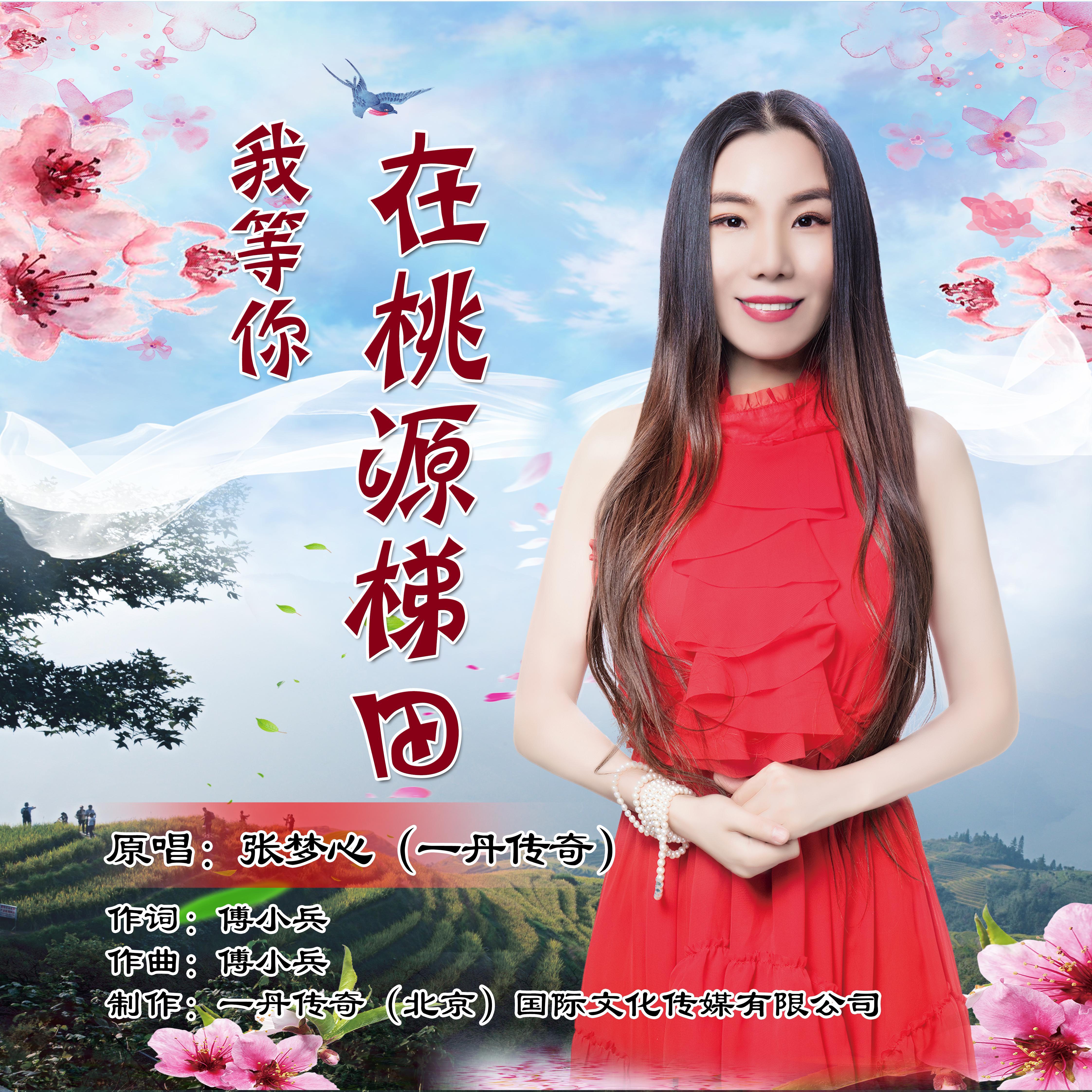 我等你在桃源梯田封面
