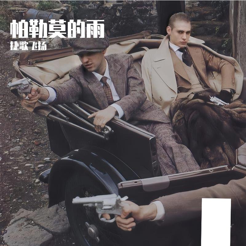 帕勒莫的雨封面