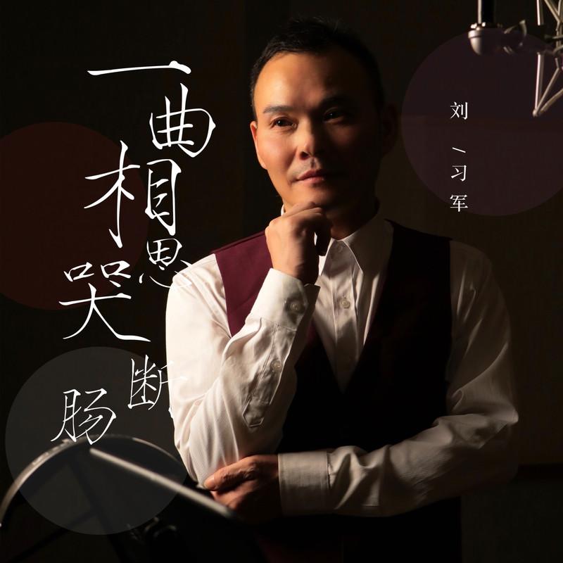 一曲相思哭断肠 (DJ版) - 刘习军封面