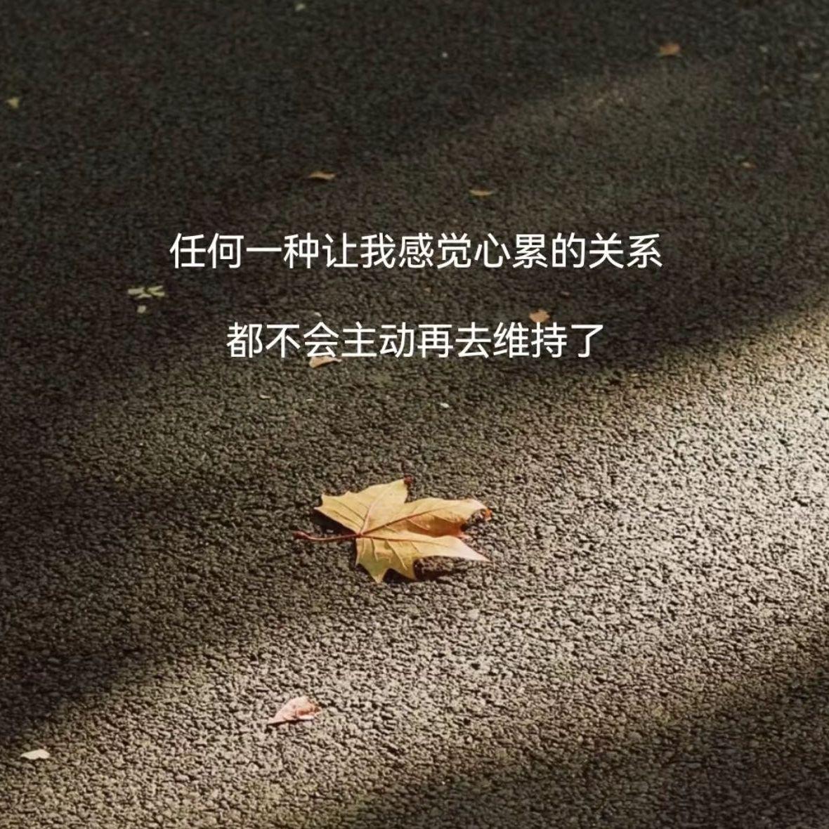 小尖尖封面