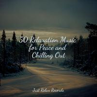 50 Relaxation Music for Peace and Chilling Out