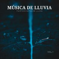 Música De Lluvia: Pacíficas Gotas De Lluvia Vol. 1