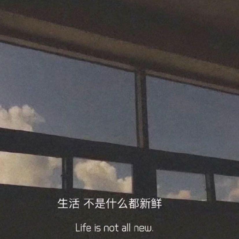 你的目光(抖音热门版)封面