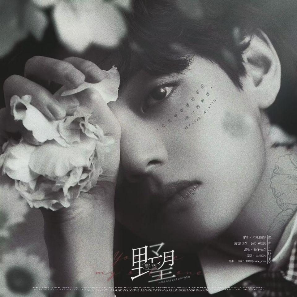 野望(橙光《故意亲密》金泰亨角色曲 )