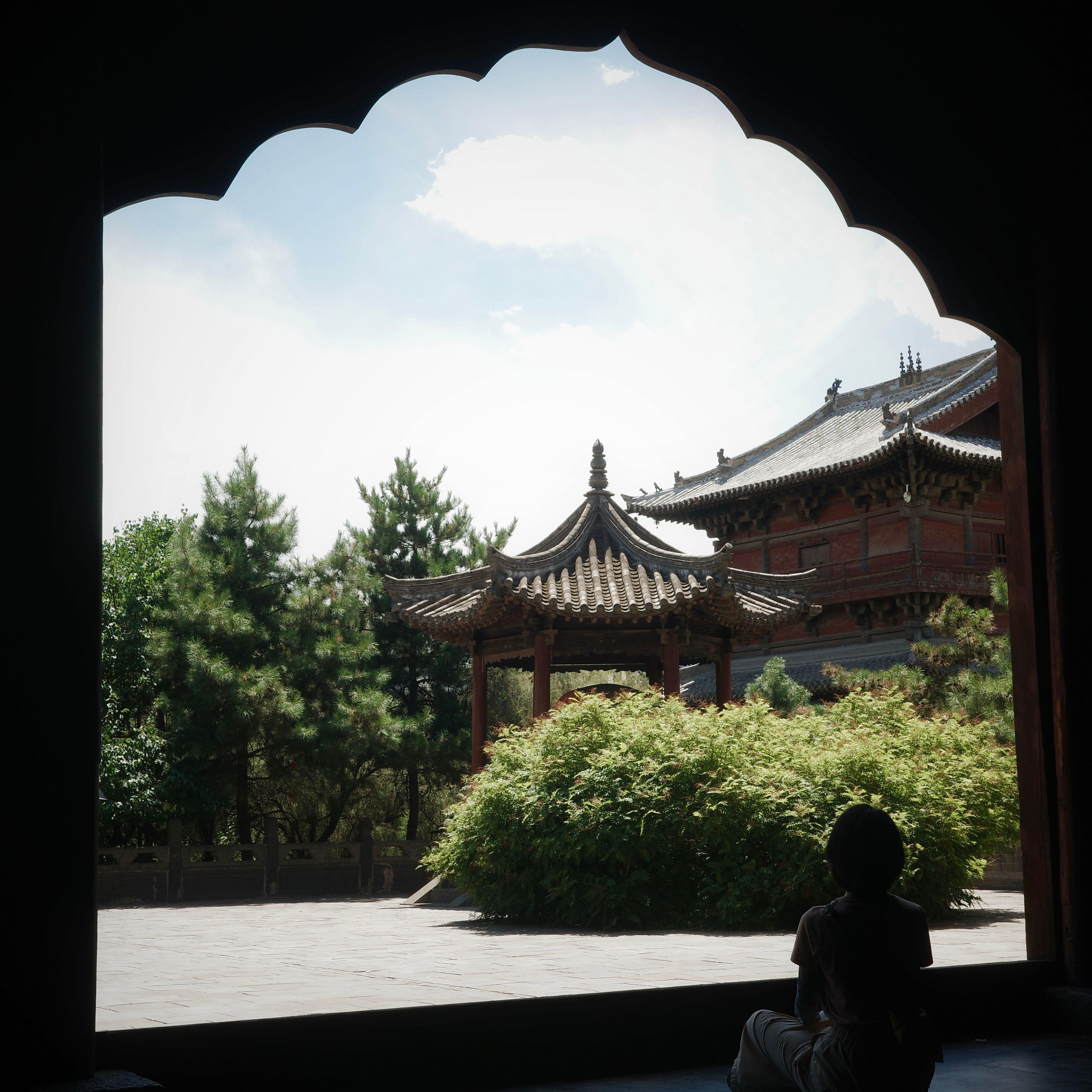 凤凰花开的路口-沛瑾