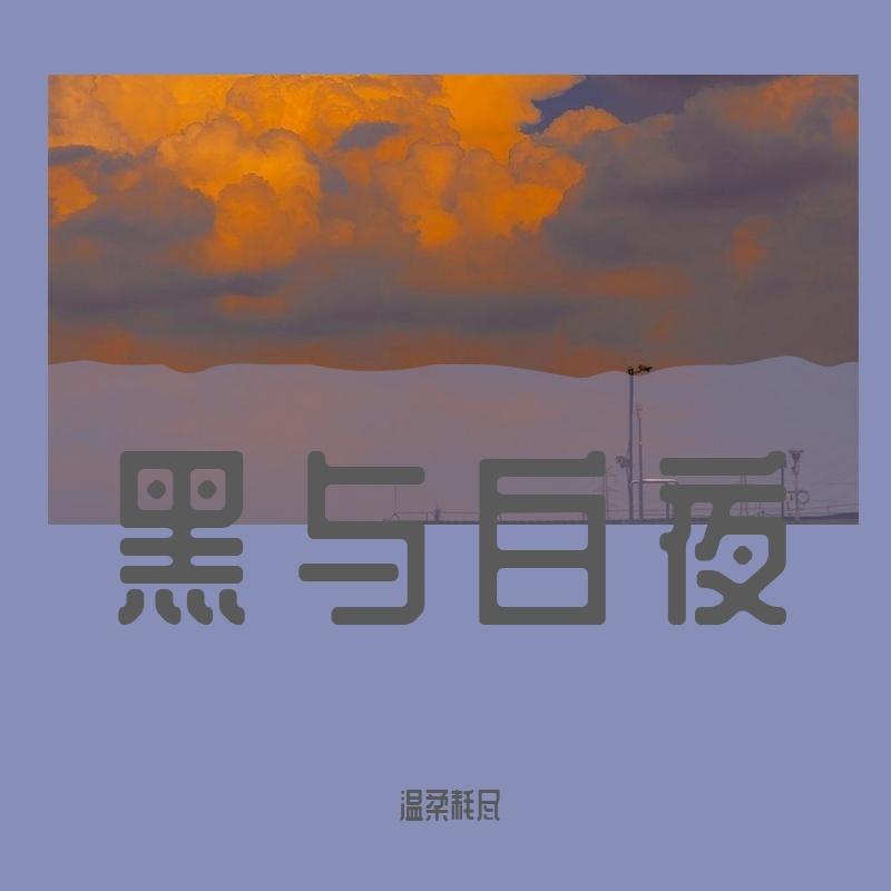 黑与白夜 - 温柔耗尽封面