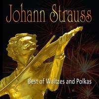 Walzer - Best of Waltzes and Polkas