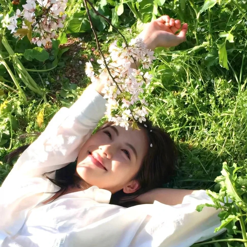 2026年度超流行热曲精选