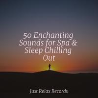 50 Enchanting Sounds for Spa & Sleep Chilling Out