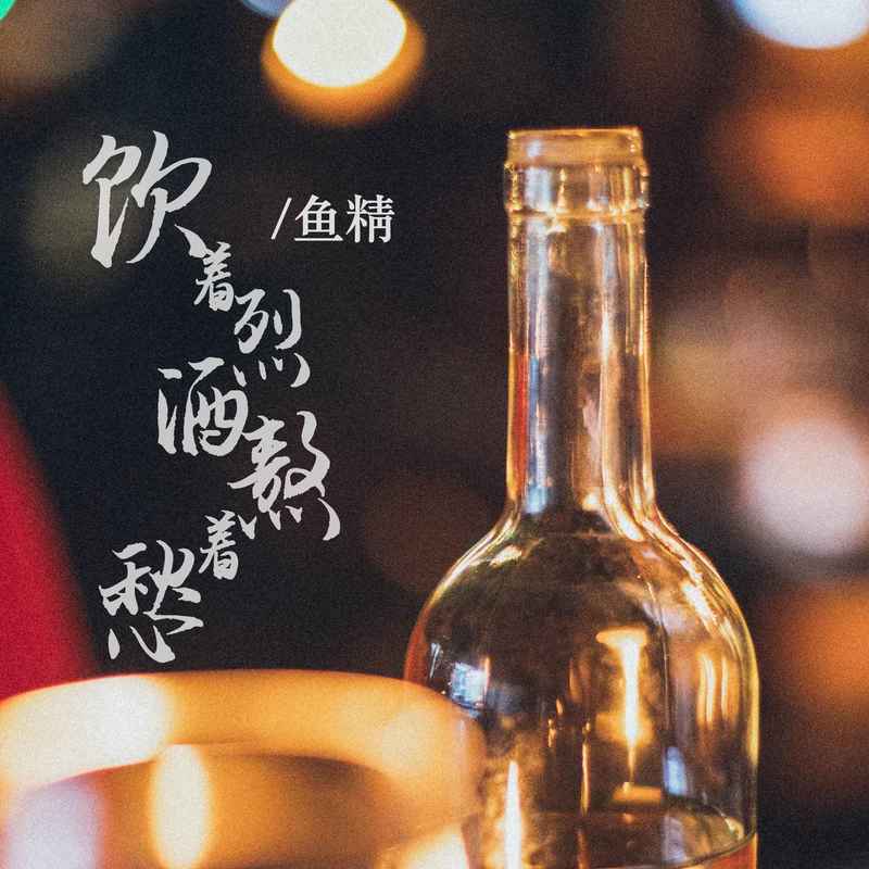 饮着烈酒熬着愁 (DJ默涵版)封面