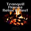 Campfire Collection - Warm Fire Place Sound