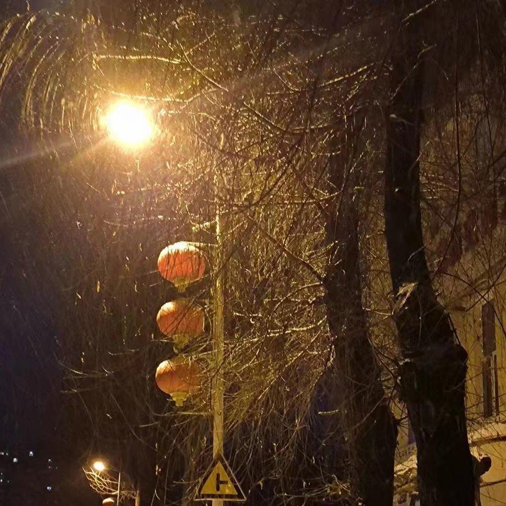 不要会员的精选歌曲